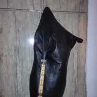 نی انبان دسته بم میشی مشک هنا هندی