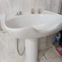سرشور ایستاده