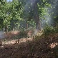 باغچه|فروش زمین و ملک کلنگی|کن, |دیوار