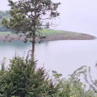 زمین-مسکونی-شهر-محمود-آباد