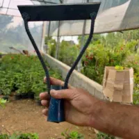 علف زن انواع نهال و انواع گل با ارسال فوری