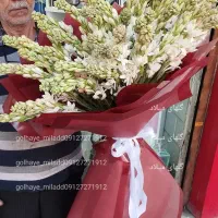 گلفروشی باکس دسته گل رز هلندی ایرانی عمده و جزئی|گل و گیاه طبیعی|تهران, مینای شمالی (مخبر)|دیوار