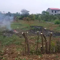 فروش زمین مسکونی در منطقه آزاد  چالکرودرامسر|فروش زمین و ملک کلنگی|دالخانی, |دیوار