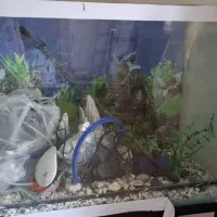 آکواریوم سایز بزرگ همراه پایه و تجهیزات کامل