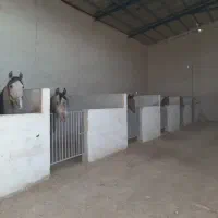 اجاره اصطبل