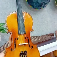 ویولن CORELLI 142