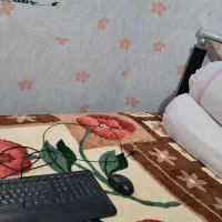 ماوس و کیبورد ساده|قطعات و لوازم جانبی رایانه|کرمانشاه, |دیوار