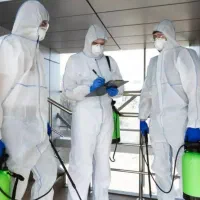 سمپاشی حشرات خانگی دفع سوسک ساس موریانه سم پاشی