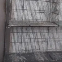 قفس و لانه جاوا فنچ