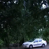 راناlxمدل ۹۶ معاوضه با شاهین اتومات خشک دارم