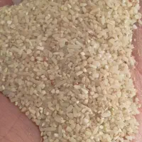 خرده برنج|خوردنی و آشامیدنی|شیراز, شیخ علی چوپان|دیوار