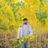 نهال های پایه دار یک سال تا پنج سال|خدمات باغبانی و درختکاری|اردبیل, |دیوار