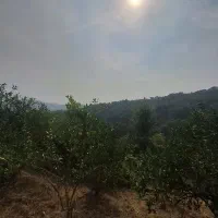 زمین مسکونی با جواز ساخت در مجموعه اربکله|فروش زمین و ملک کلنگی|کتالم و سادات شهر, |دیوار