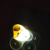 سنگ های زینتی|کلکسیون اشیاء عتیقه|تهران, باغ خزانه|دیوار