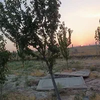 باغ در وهن آباد