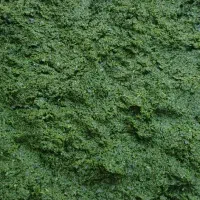 سبزی خورشتی