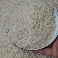 برنج درجه یک طارم هاشمی|خوردنی و آشامیدنی|تهران, طیب|دیوار
