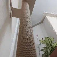 اسکرچر گربه