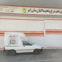 ویزیتوری وپخش