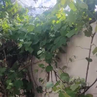 خانه-ویلایی-230-متر-سه-خواب
