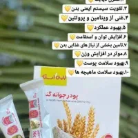 فروش پودر جوانه گندم|خوردنی و آشامیدنی|بناب, |دیوار