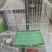 هفت عدد قفس بزرگ و کوچک و قفس خرگوش