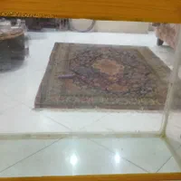 آکواریوم وچربیگیر پلنت، گیاه طبیعی پلنت|ماهی|تهران, نیروی هوایی (پیروزی)|دیوار