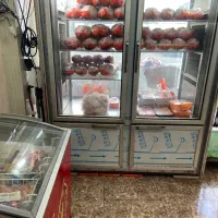 واگذاری مرغ فروشی و پروتیینی|اجارهٔ مغازه و غرفه|لاهیجان, گلستان|دیوار