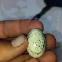 مهره زیرخاکی|جواهرات|دزفول, |دیوار