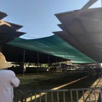 فروش توری های سایبان|خدمات پیشه و مهارت|ری, بازار گل خاوران|دیوار