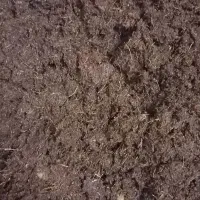 حلزون البینو وخاویار وخاک کوکوپیت|خزنده|مشهد, چهارچشمه|دیوار