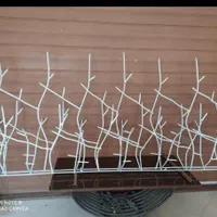 تولید حفاظ شاخگوزنی