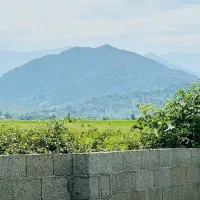 زمین-333متری-مسکونی-جاده-قلعه-رودخان