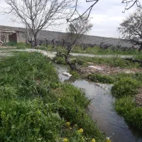 باغچه|فروش زمین و ملک کلنگی|رباطکریم, انجم آباد|دیوار