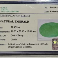 زمرد کلمبیا شناسنامه بین المللیIGL بانکوک 31/5 ct|جواهرات|قم, ارم|دیوار