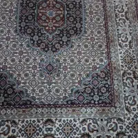 فرش دستباف|فرش|شیراز, شهرک گلدشت حافظ|دیوار