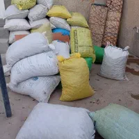 400|خدمات باغبانی و درختکاری|گچی, |دیوار