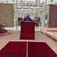 فرش دستباف (بساک) زرع نیمهای ریز باف کرک|فرش|مشکیندشت, |دیوار