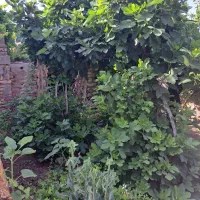 منزل مسکونی فروشی