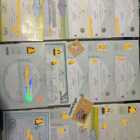 گواهینامه فنی مهارت /مجوز کسب و کار