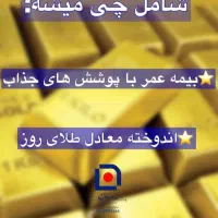 صندوق طلا|کارت هدیه و تخفیف|شیراز, شاهچراغ|دیوار