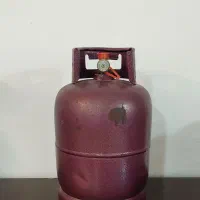 پیک نیک ۳ کیلویی