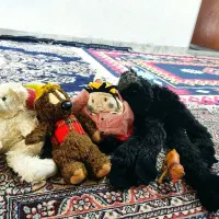 اسباب بازی|اسباب‌بازی بچه|گرگان, |دیوار