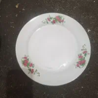 بشقاب ومیوه خوری|ظروف سرو و پذیرایی|اردبیل, |دیوار