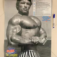 تابلو عکس غول پیکر آرنولد ( اورجینال )