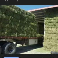 یونجه بسته ای و کاه