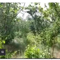 فروش باغ منطقه کوهستانی و پر آب طینوج -دستجرد|فروش زمین و ملک کلنگی|قم, صفائیه|دیوار