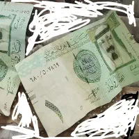 سکه ها خارجی اکثرا نقره و شاهی و قدیمی جمهوری