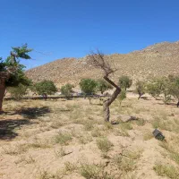 سرایدار و کارگر برای دهکده آرامش گردشگری|استخدام سرایداری و نظافت|مهریز, |دیوار