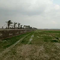 زمین صنعتی کشاورزی در بوشهر احمدی